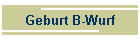 Geburt B-Wurf