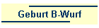 Geburt B-Wurf